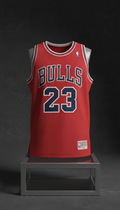 NBA Retro Mesh Jersey 1996 Edition